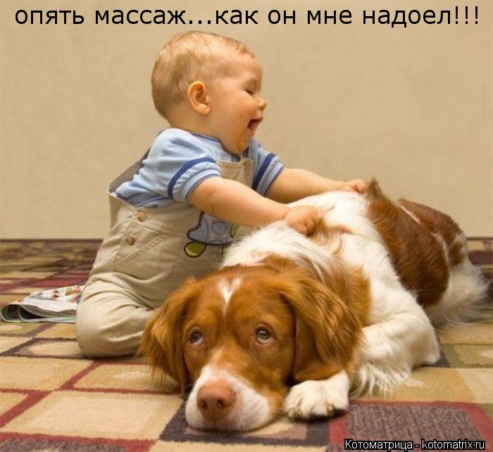 Котоматрица: опять массаж...как он мне надоел!!!
