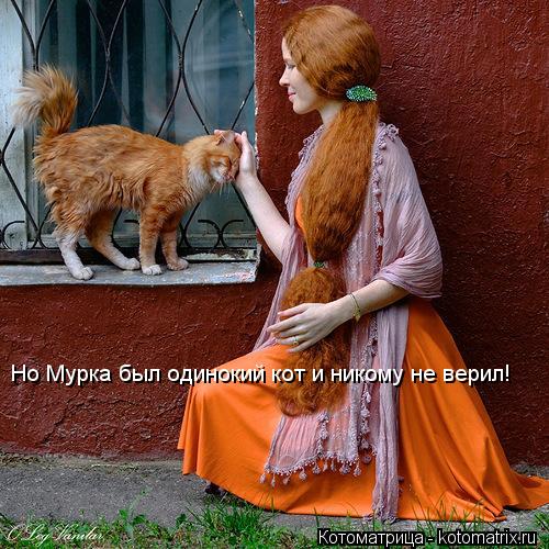 Котоматрица: Но Мурка был одинокий кот и никому не верил!