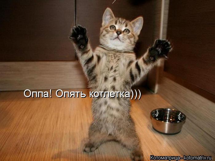 Котоматрица: Оппа! Опять котлетка)))
