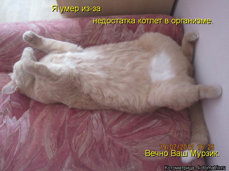 Котоматрица: Я умер из-за недостатка котлет в организме. Вечно Ваш Мурзик.