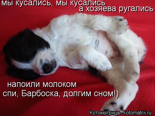 Котоматрица: мы кусались, мы кусались а хозяева ругались напоили молоком спи, Барбоска, долгим сном!)