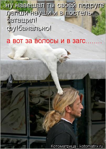 Котоматрица: ну навешал ты своей подруге лапши науши и в постель- затащил! фу!банально! а вот за волосы и в загс........