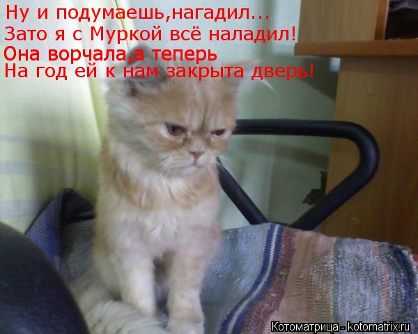 Котоматрица: Ну и подумаешь,нагадил... Зато я с Муркой всё наладил! Она ворчала,а теперь Она ворчала,а теперь На год ей к нам закрыта дверь!
