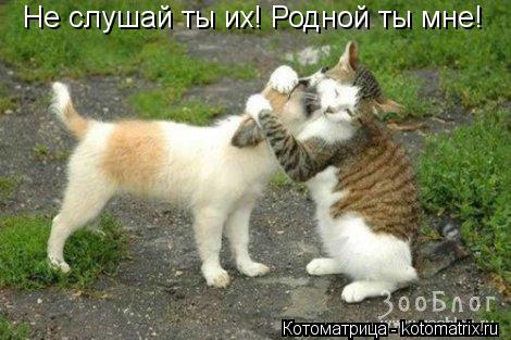 Котоматрица: Не слушай ты их! Родной ты мне!