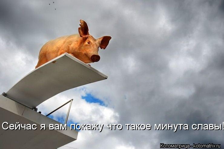 Сейчас я вам покажу что такое минута славы!... Котоматрица: Сейчас я вам покажу что такое минута славы!