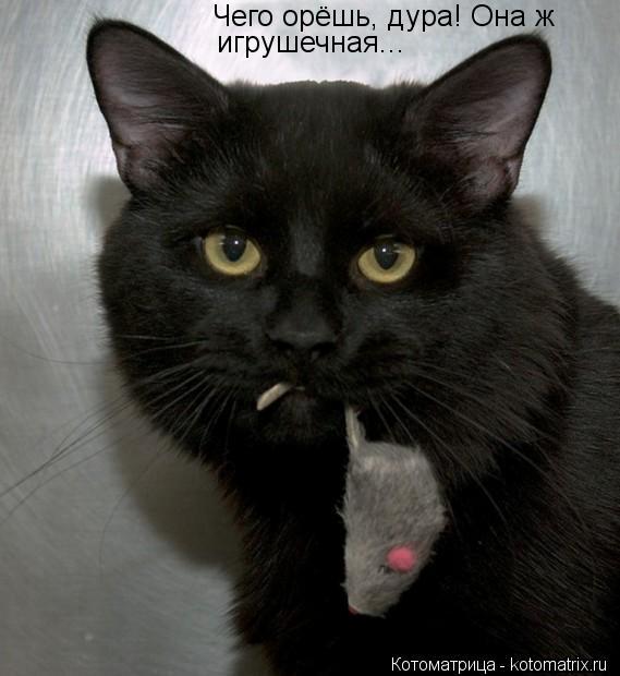 Чего орёшь, дура! Она ж игрушечная...... Котоматрица: Чего орёшь, дура! Она ж игрушечная...