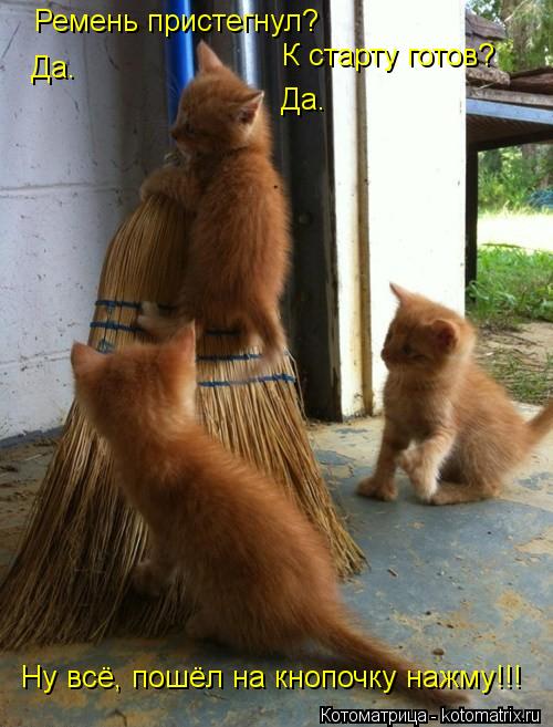 Котоматрица: Ремень пристегнул?  Да. К старту готов? Да. Ну всё, пошёл на кнопочку нажму!!!