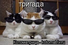 Котоматрица: тригада
