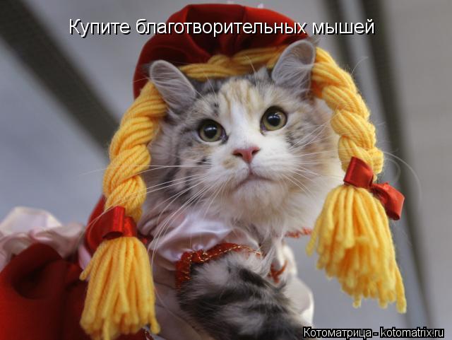 Котоматрица: Купите благотворительных мышей