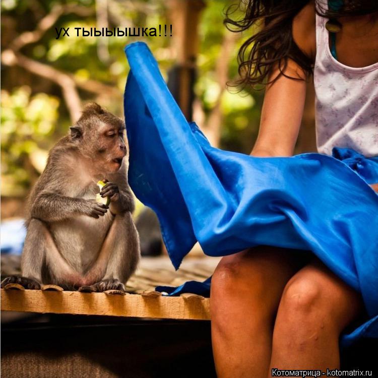 ух тыыыышка!!!... Котоматрица: ух тыыыышка!!!