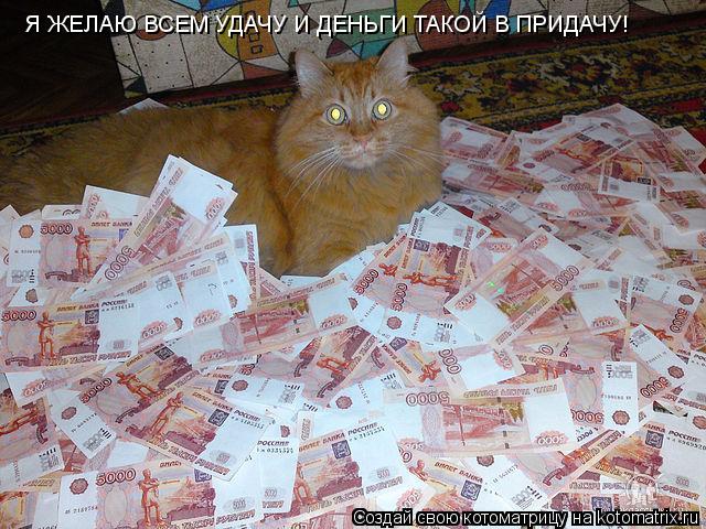 Котоматрица: Я ЖЕЛАЮ ВСЕМ УДАЧУ И ДЕНЬГИ ТАКОЙ В ПРИДАЧУ!