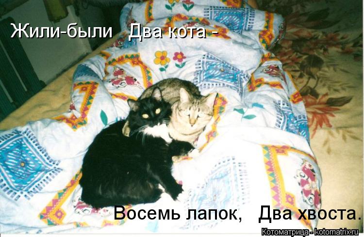 Котоматрица: Жили-были   Два кота -    Восемь лапок,   Два хвоста.