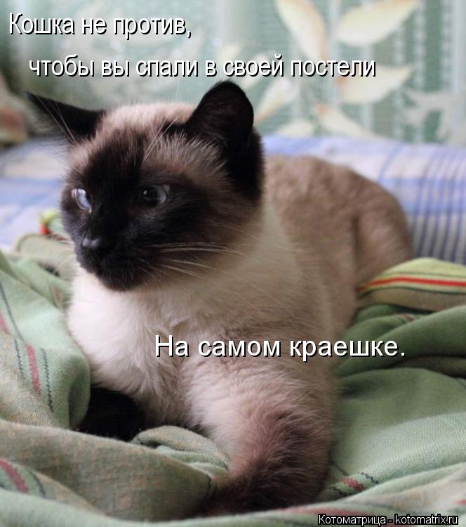 Котоматрица: Кошка не против,  чтобы вы спали в своей постели  На самом краешке.