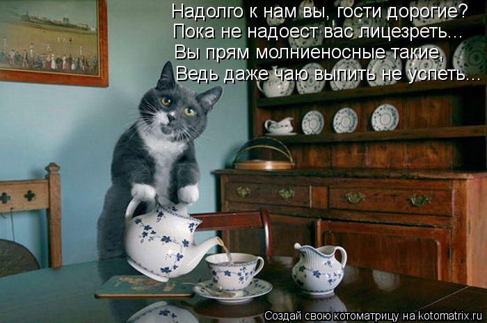 Котоматрица: Надолго к нам вы, гости дорогие? Пока не надоест вас лицезреть... Вы прям молниеносные такие, Ведь даже чаю выпить не успеть...