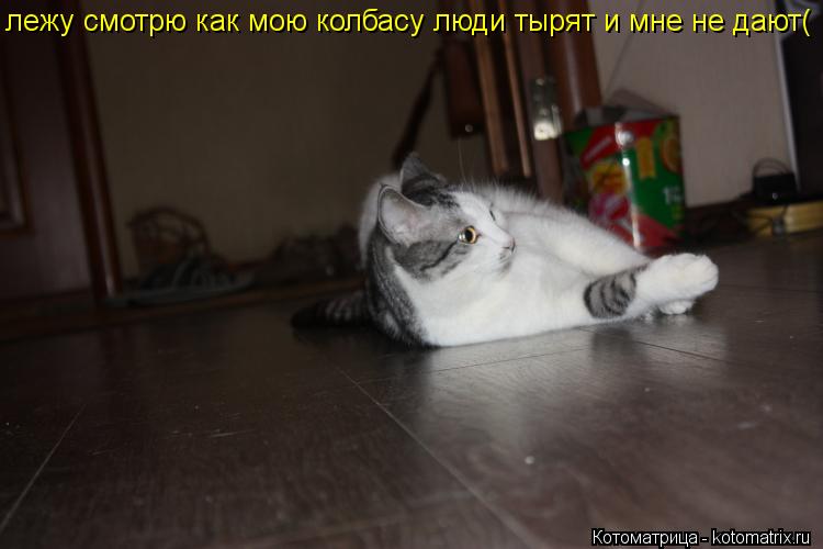 Котоматрица: лежу смотрю как мою колбасу люди тырят и мне не дают(