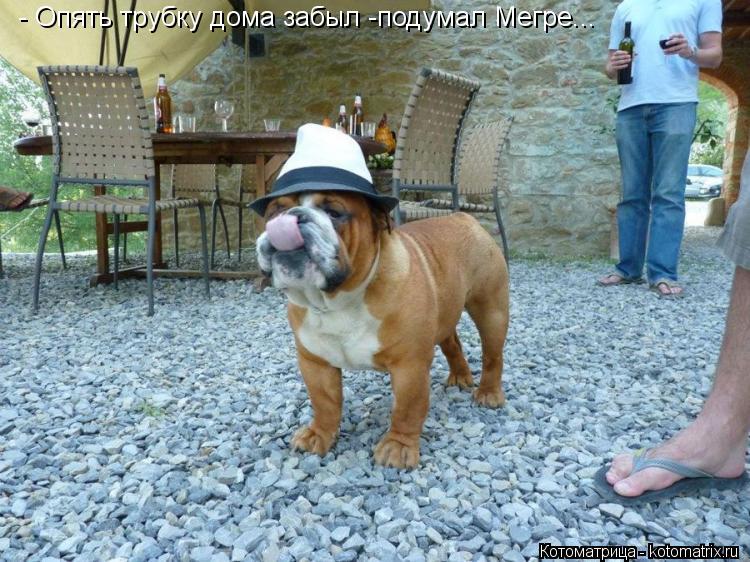 - Опять трубку дома забыл -подумал Мегре...... Котоматрица: - Опять трубку дома забыл -подумал Мегре...
