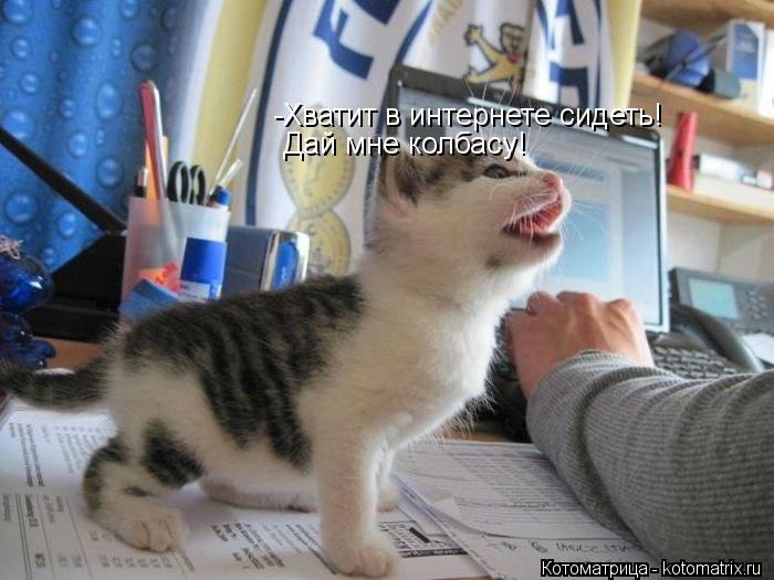 -Хватит в интернете сидеть! Дай мне колбасу!... Котоматрица: -Хватит в интернете сидеть! Дай мне колбасу!