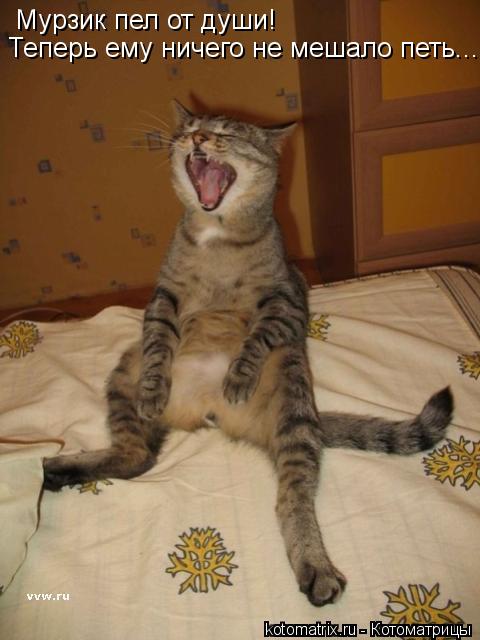 Мурзик пел от души! Теперь ему ничего не мешало петь....... Котоматрица: Мурзик пел от души! Теперь ему ничего не мешало петь....