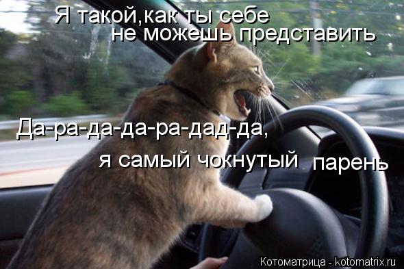 Котоматрица: Я такой,как ты себе  не можешь представить Да-ра-да-да-ра-дад-да, я самый чокнутый  парень