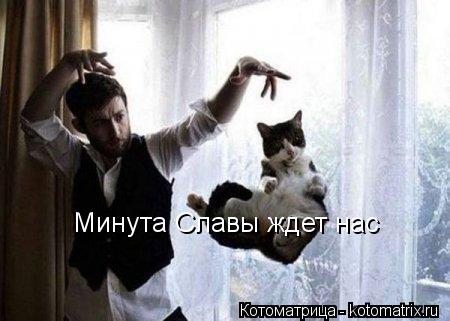 Котоматрица: Минута Славы ждет нас