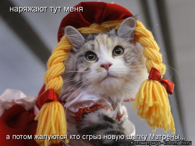 наряжают тут меня а потом жалуются кто сгрыз новую шапку Матрёны...... Котоматрица: наряжают тут меня а потом жалуются кто сгрыз новую шапку Матрёны...