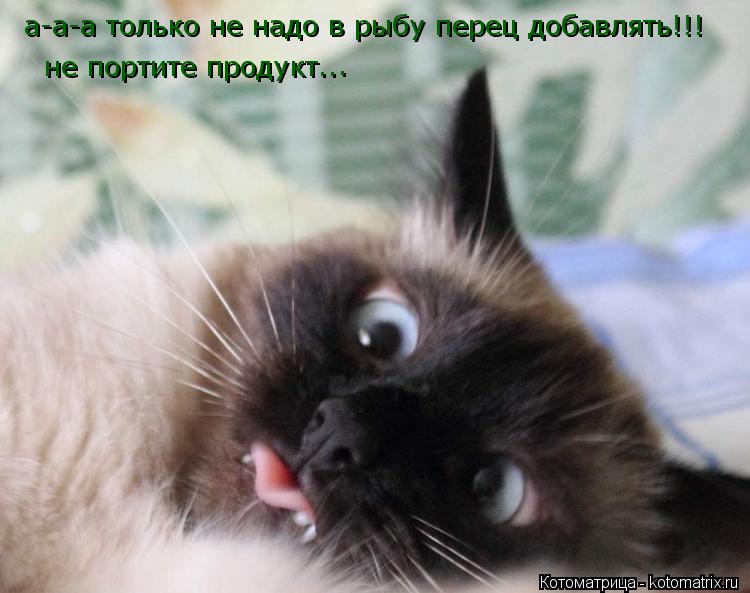 а-а-а только не надо в рыбу перец добавлять!!! не портите продукт.. .... Котоматрица: а-а-а только не надо в рыбу перец добавлять!!! не портите продукт.. .