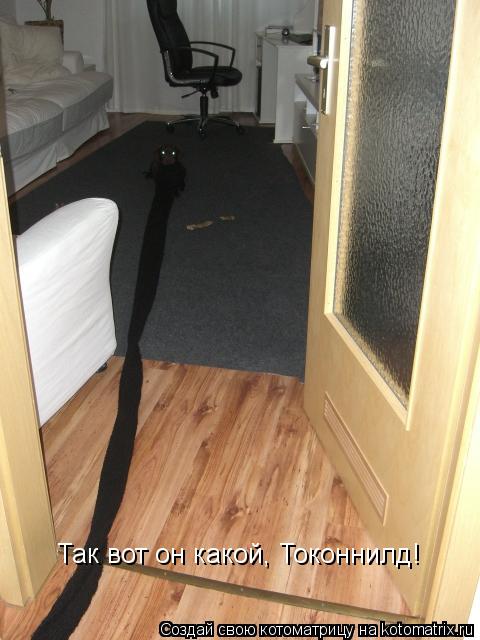 Котоматрица: Так вот он какой, Токоннилд!