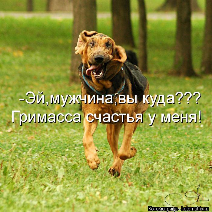 Котоматрица: -Эй,мужчина,вы куда??? Гримасса счастья у меня!