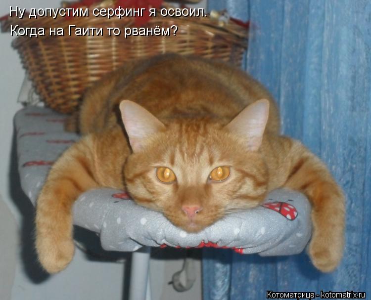 Ну допустим серфинг я освоил. Когда на Гаити то рванём?... Котоматрица: Ну допустим серфинг я освоил. Когда на Гаити то рванём?