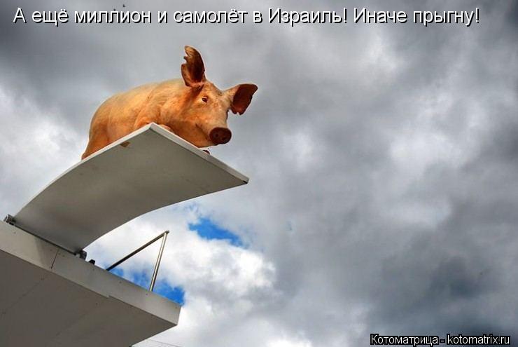 Котоматрица: А ещё миллион и самолёт в Израиль! Иначе прыгну!