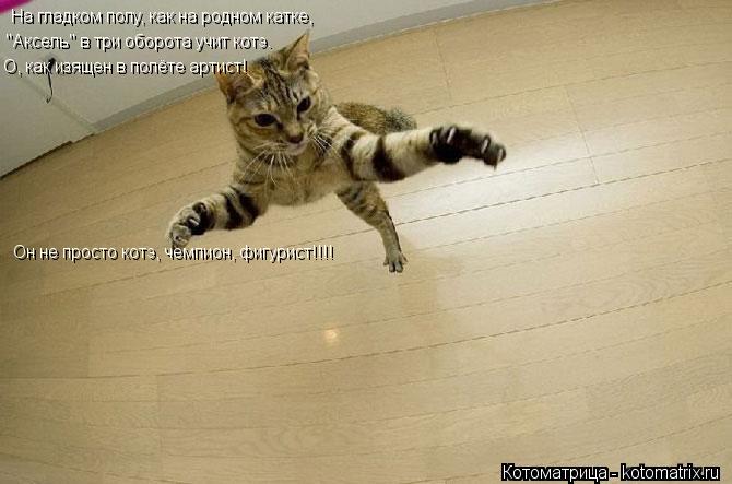 Котоматрица: На гладком полу, как на родном катке, "Аксель" в три оборота учит котэ. О, как изящен в полёте артист! Он не просто котэ, чемпион, фигурист Он не