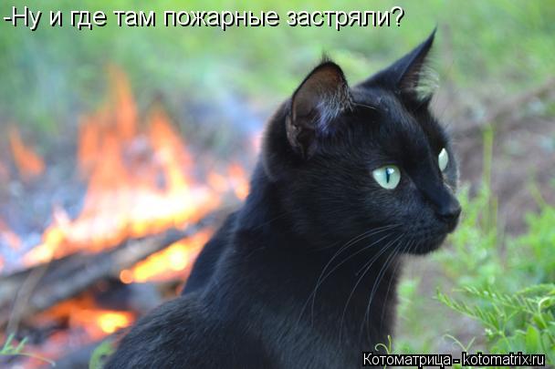 Котоматрица: -Ну и где там пожарные застряли?