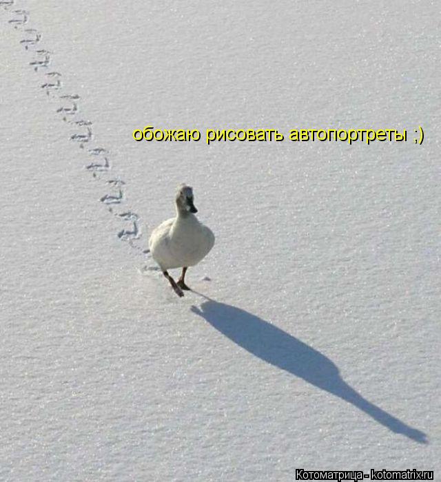Котоматрица: обожаю рисовать автопортреты ;)