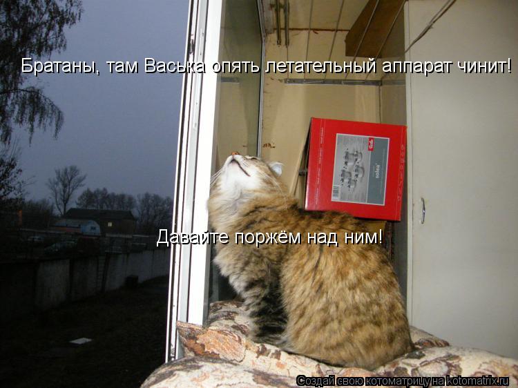 Братаны, там Васька опять летательный аппарат чинит! Давайте поржём над ним!... Котоматрица: Братаны, там Васька опять летательный аппарат чинит! Давайте поржём над ним!