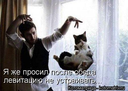 Котоматрица: Я же просил после обеда левитацию не устраивать...