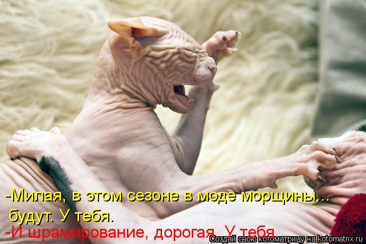 Котоматрица: -Милая, в этом сезоне в моде морщины... будут. У тебя.   -И шрамирование, дорогая. У тебя.