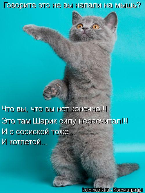 Котоматрица: Говорите это не вы напали на мышь? Что вы, что вы нет конечно!!! Это там Шарик силу нерасчитал!!! И с сосиской тоже... И котлетой...