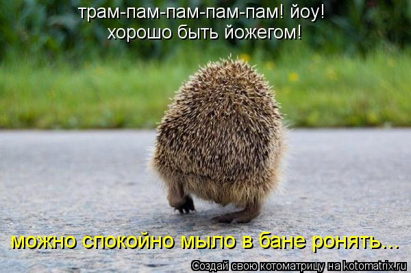 Котоматрица: трам-пам-пам-пам-пам! йоу! хорошо быть йожегом! можно спокойно мыло в бане ронять...