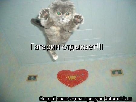 Гагарин отдыхает!!!... Котоматрица: Гагарин отдыхает!!!