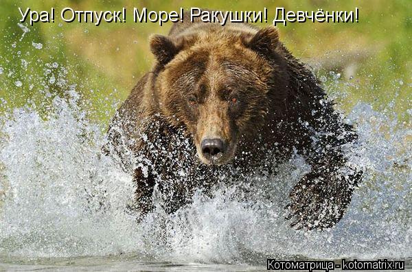 Ура! Отпуск! Море! Ракушки! Девчёнки!... Котоматрица: Ура! Отпуск! Море! Ракушки! Девчёнки!