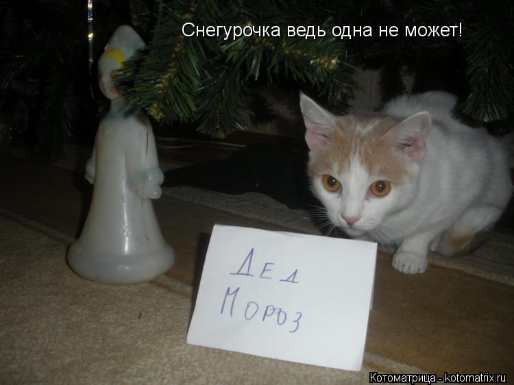 Котоматрица: Снегурочка ведь одна не может!