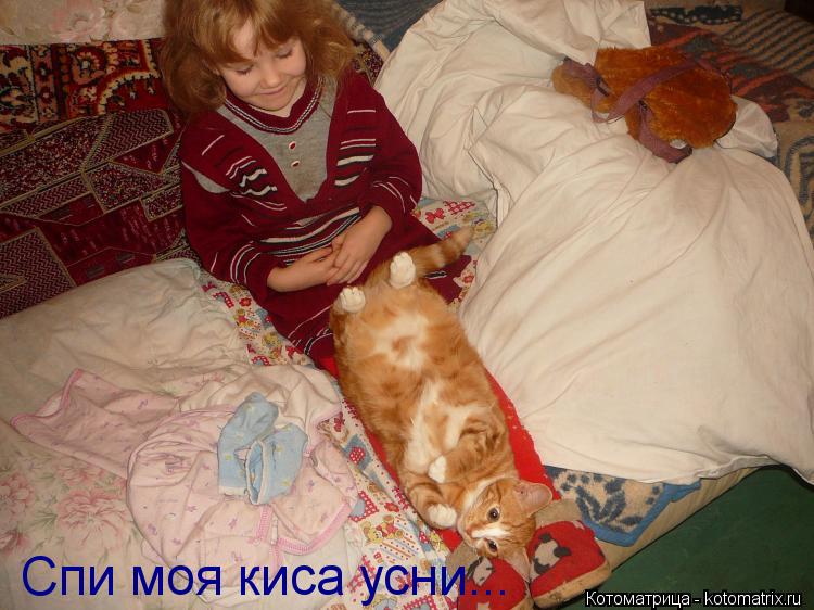 Котоматрица: Спи моя киса усни...