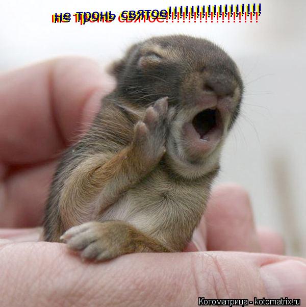 Котоматрица: не тронь святое!!!!!!!!!!!!!!!!! не тронь святое!!!!!!!!!!!!!!!!! не тронь святое!!!!!!!!!!!!!!!!! не тронь святое!!!!!!!!!!!!!!!!!