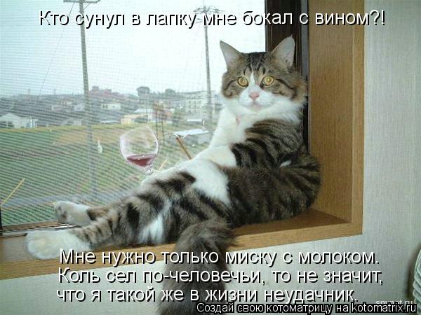 Котоматрица: Кто сунул в лапку мне бокал с вином?! Мне нужно только миску с молоком. Коль сел по-человечьи, то не значит, что я такой же в жизни неудачник.