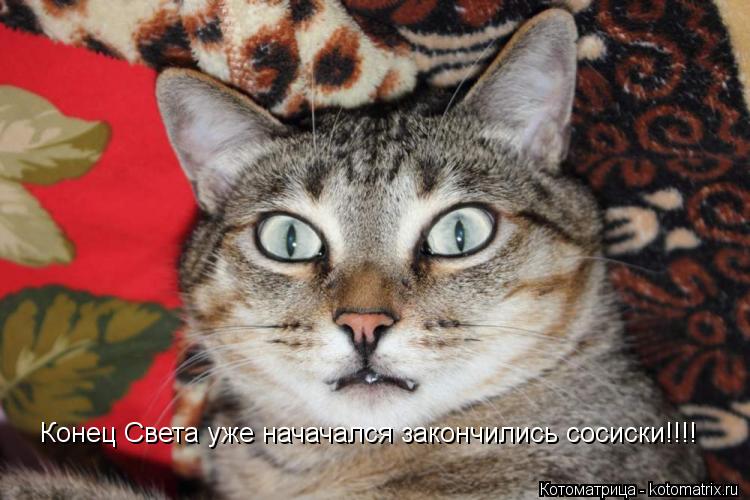 Конец Света уже начачался закончились сосиски!!!!... Котоматрица: Конец Света уже начачался закончились сосиски!!!!