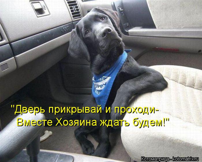 Котоматрица: "Дверь прикрывай и проходи- Вместе Хозяина ждать будем!"