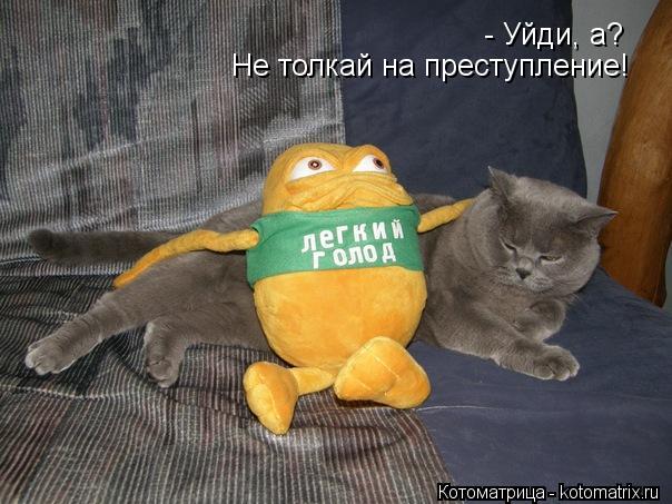 Котоматрица: - Уйди, а?  Не толкай на преступление!