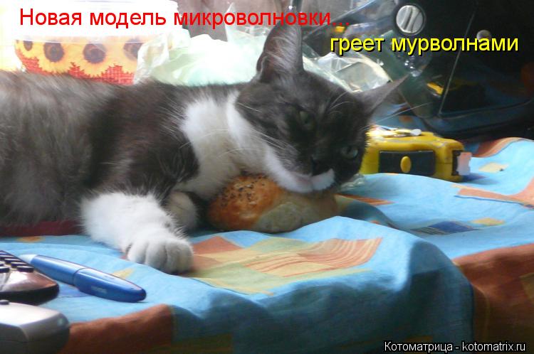 Котоматрица: Новая модель микроволновки... греет мурволнами