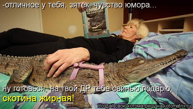 Котоматрица: -отличное у тебя, зятёк, чувство юмора...  ну готовься, на твой ДР тебе свинью подарю,  скотина жирная!