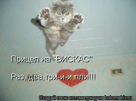 Котоматрица: Прицел на "ВИСКАС" Раз, два,три-и-и пли!!!